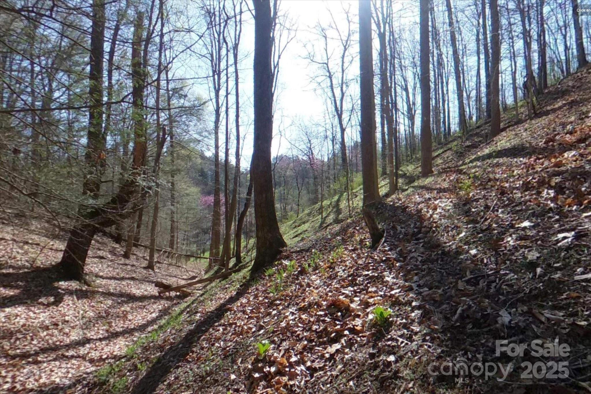 TBD Sweetwater Road - Photo 16