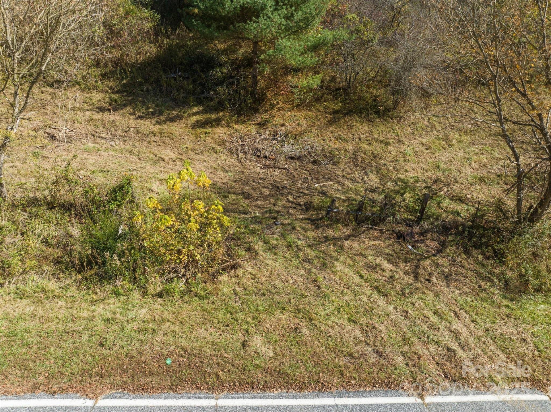 TBD Sweetwater Road - Photo 6