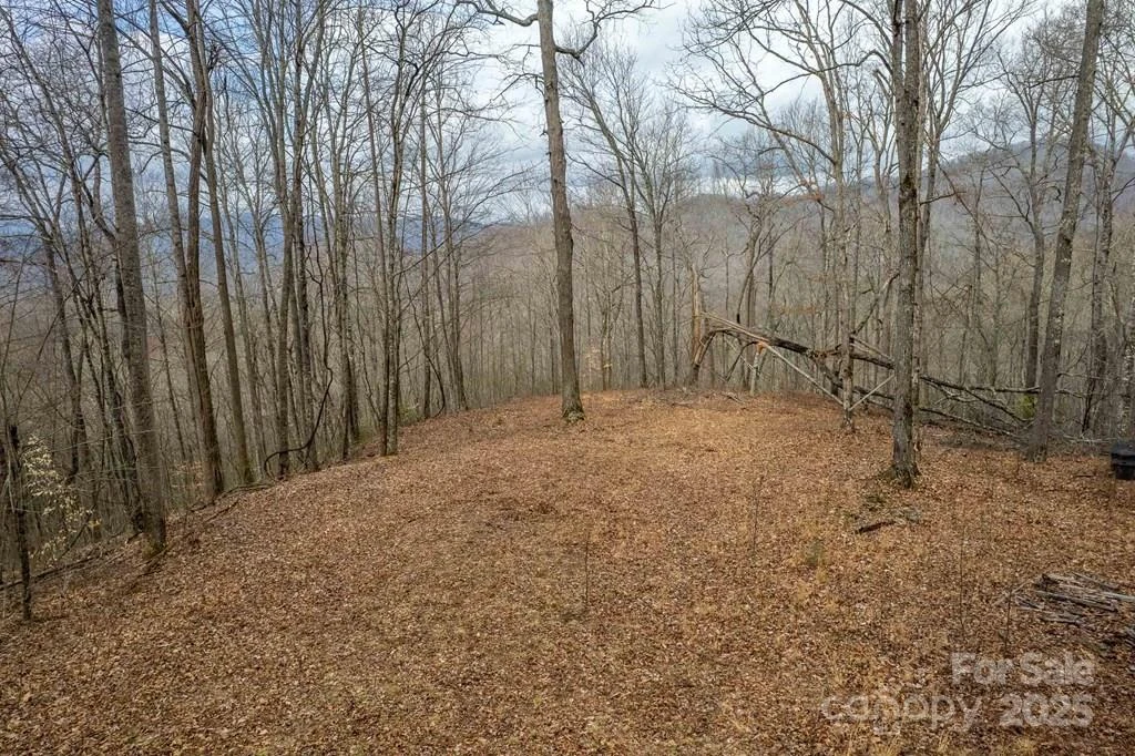 Lot 11 Stone Pillow Road #11 - Photo 2
