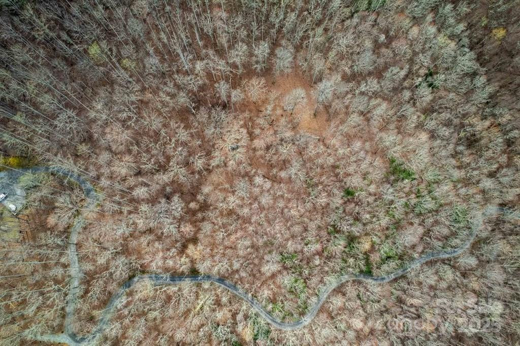 Lot 11 Stone Pillow Road #11 - Photo 11