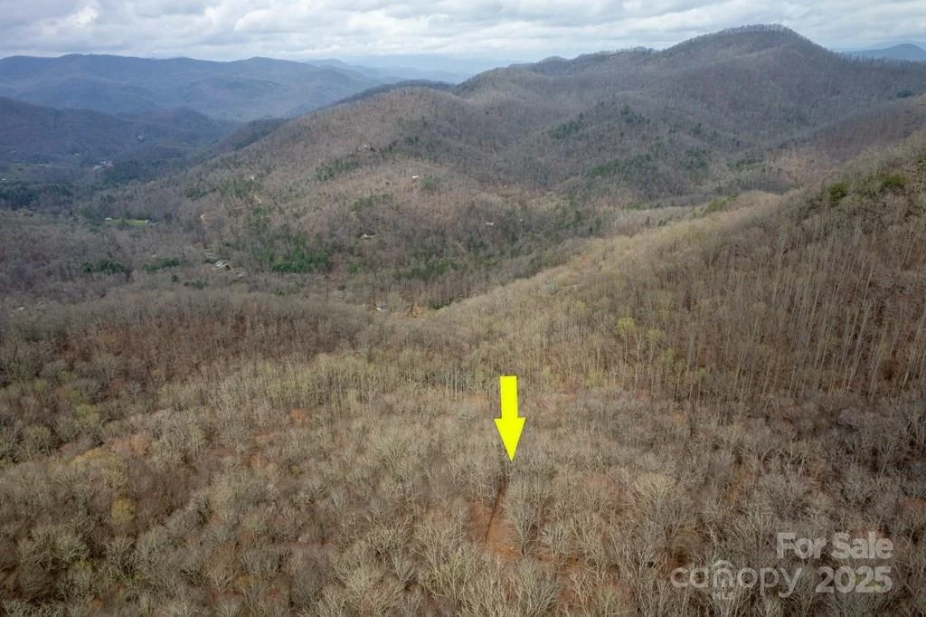 Lot 11 Stone Pillow Road #11 - Photo 12
