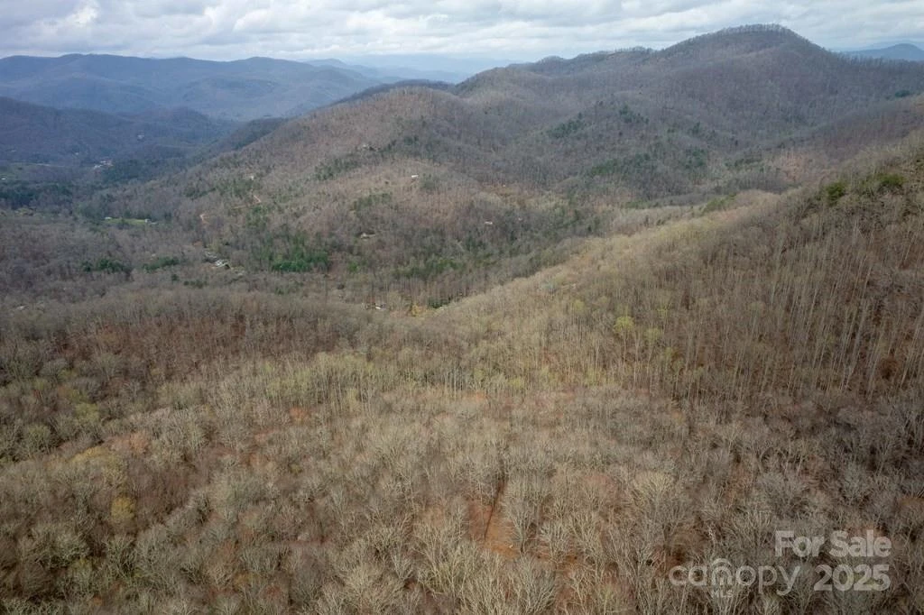Lot 11 Stone Pillow Road #11 - Photo 13