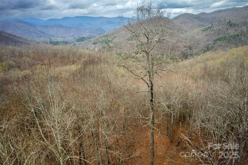 Lot 11 Stone Pillow Road #11 - Photo 14