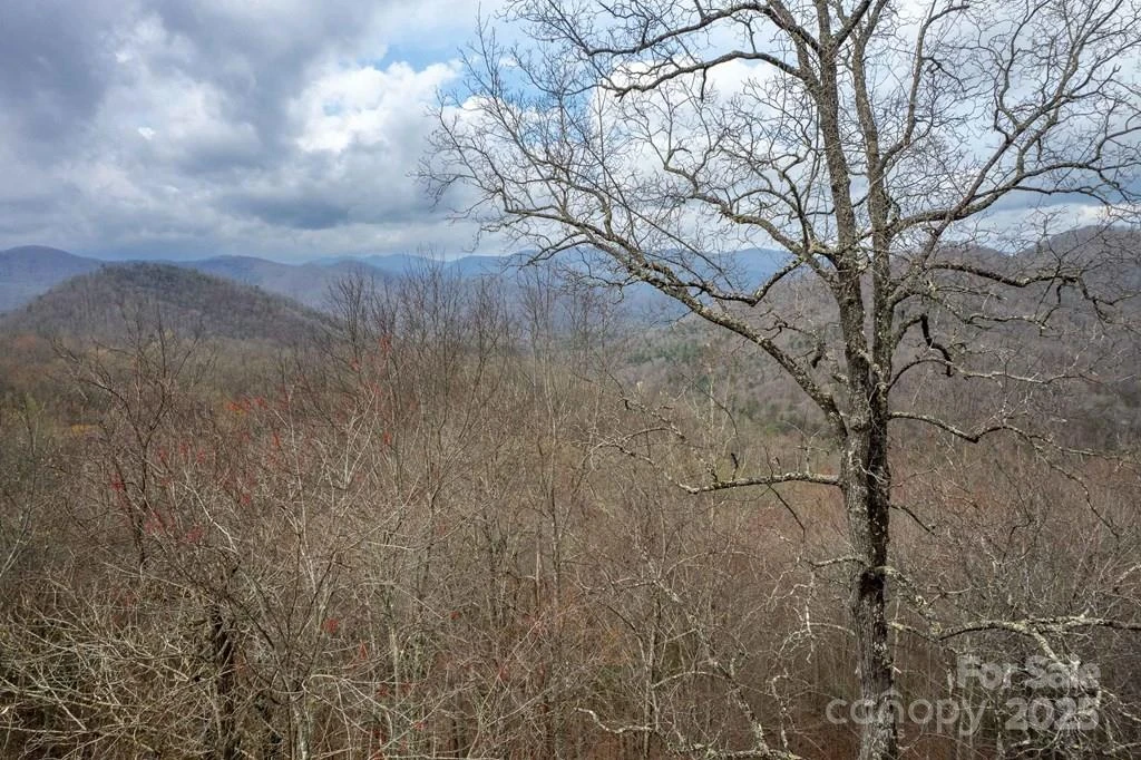 Lot 11 Stone Pillow Road #11 - Photo 15