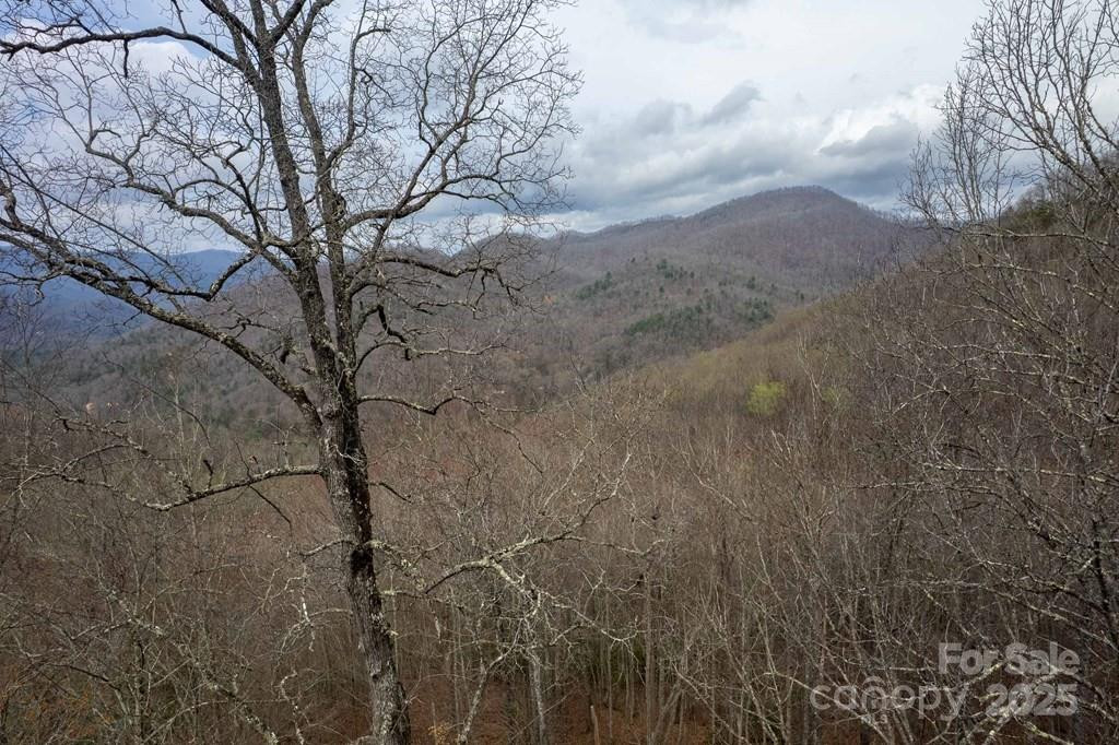 Lot 11 Stone Pillow Road #11 - Photo 16