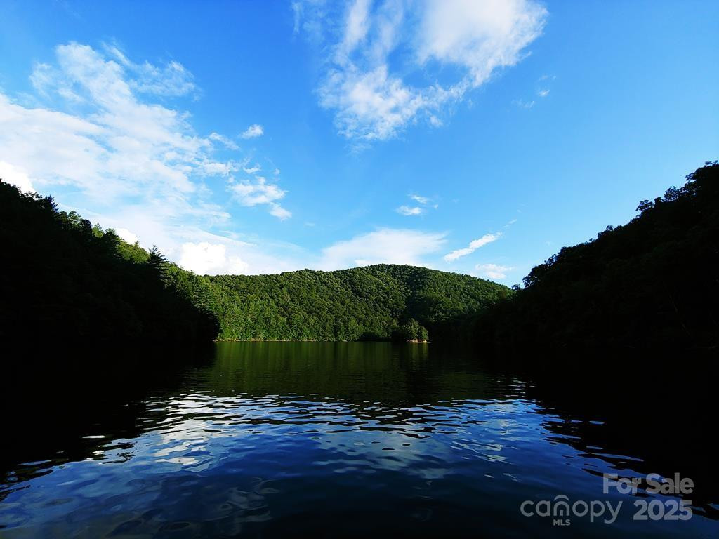 Lot 11 Stone Pillow Road #11 - Photo 19