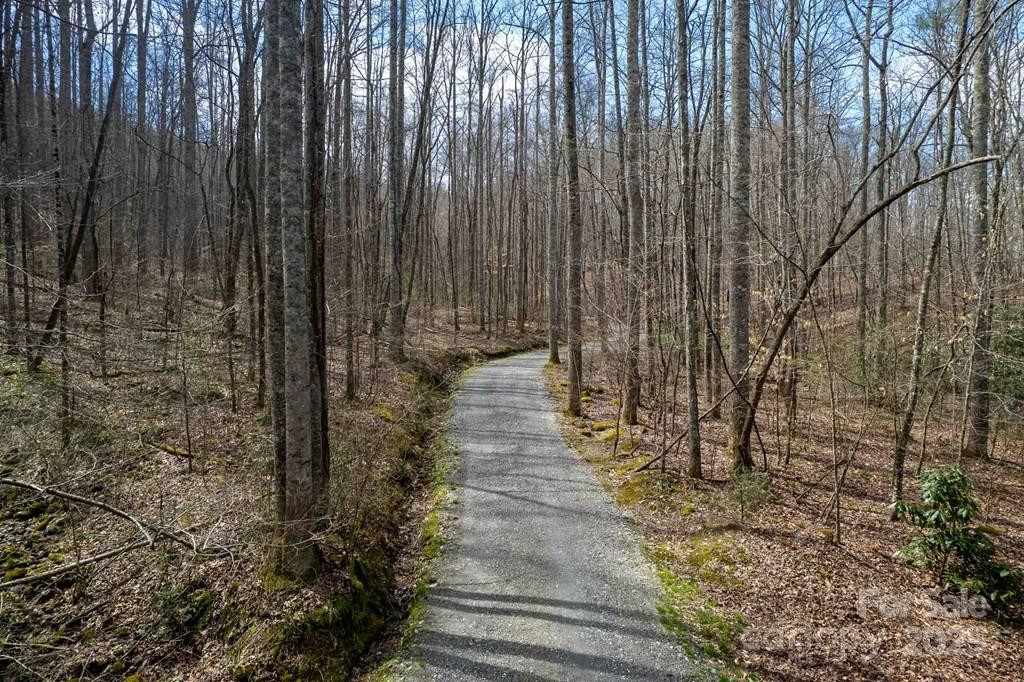 Lot 11 Stone Pillow Road #11 - Photo 3