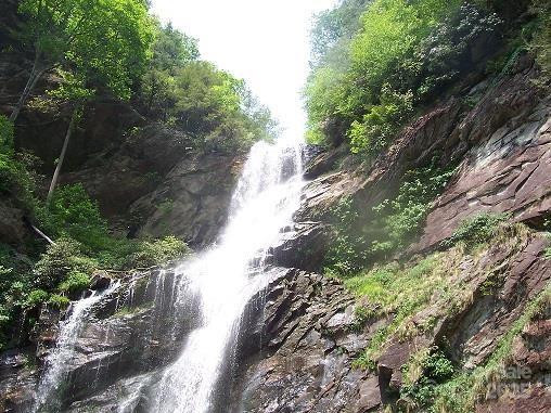 Lot 11 Stone Pillow Road #11 - Photo 21