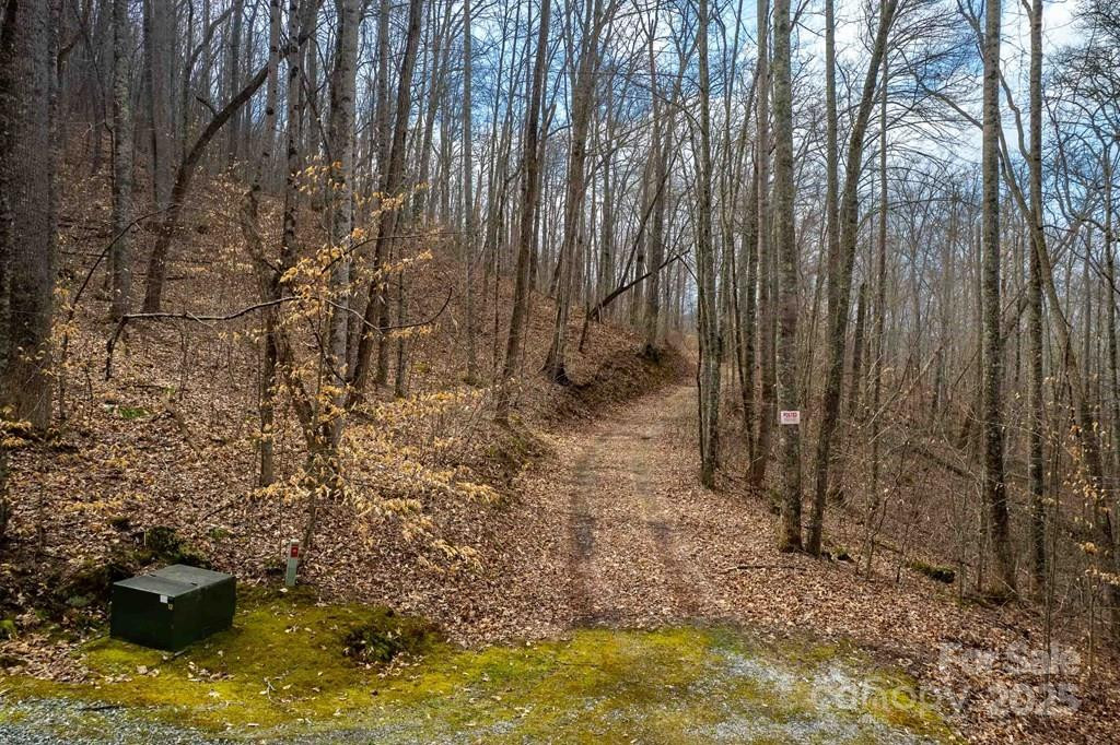 Lot 11 Stone Pillow Road #11 - Photo 4