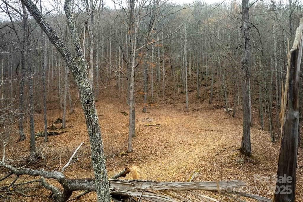 Lot 11 Stone Pillow Road #11 - Photo 5