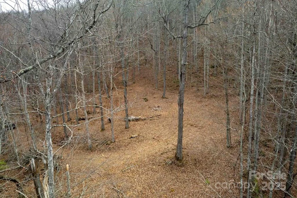 Lot 11 Stone Pillow Road #11 - Photo 6