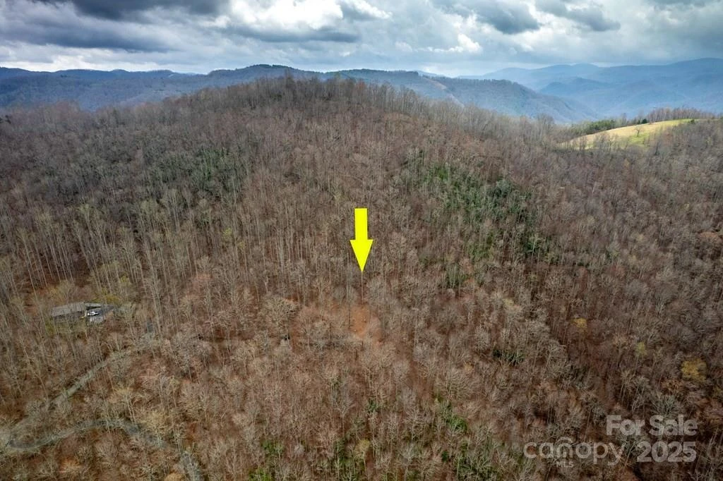 Lot 11 Stone Pillow Road #11 - Photo 9