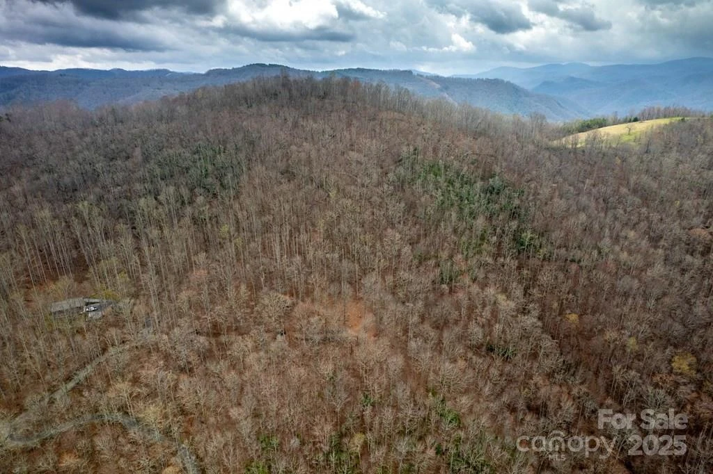 Lot 11 Stone Pillow Road #11 - Photo 10