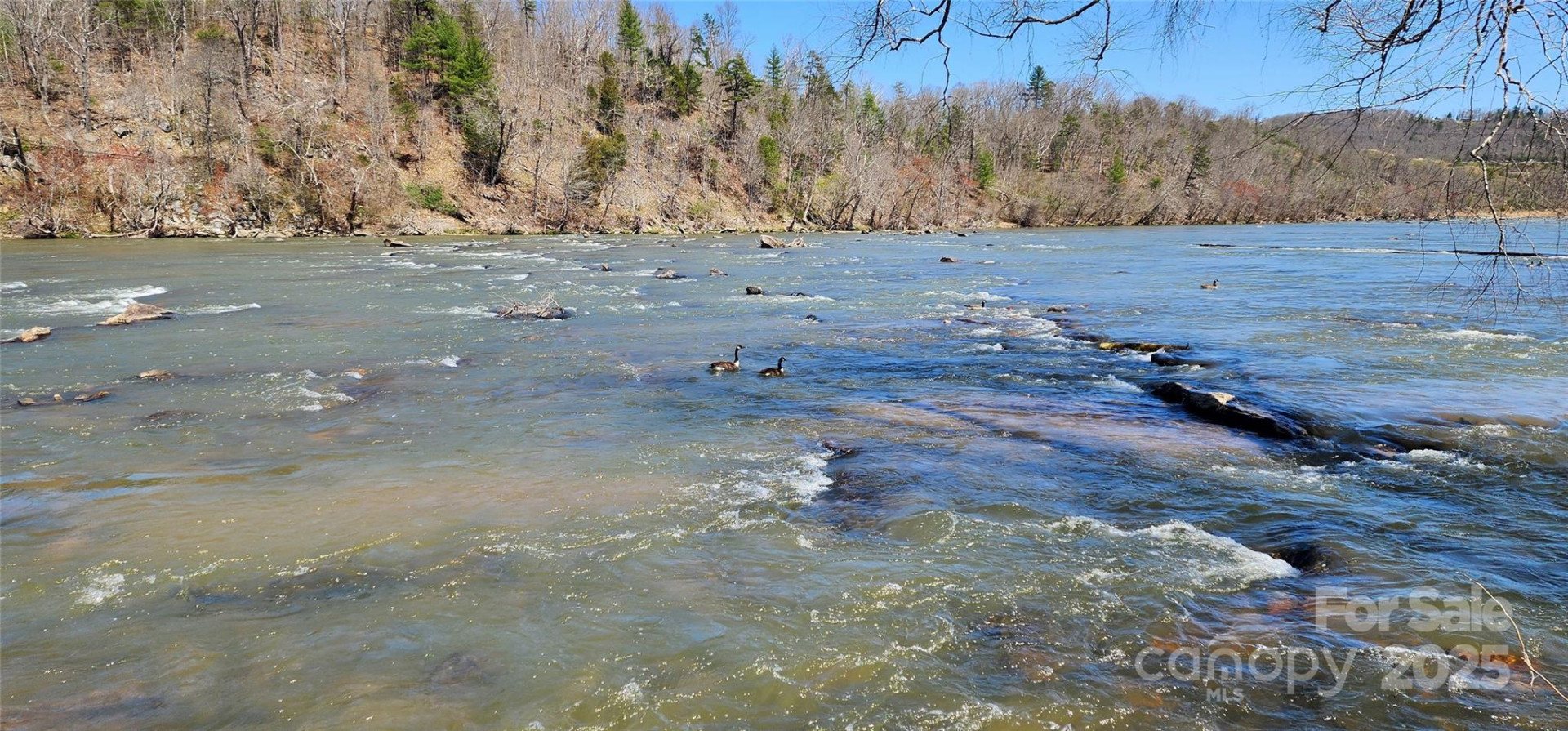 31 Sweet Fern Parkway #42 - Photo 13