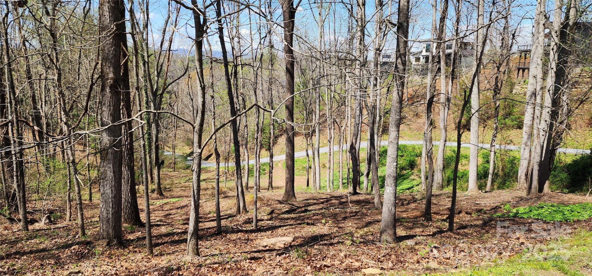 31 Sweet Fern Parkway #42 - Photo 4