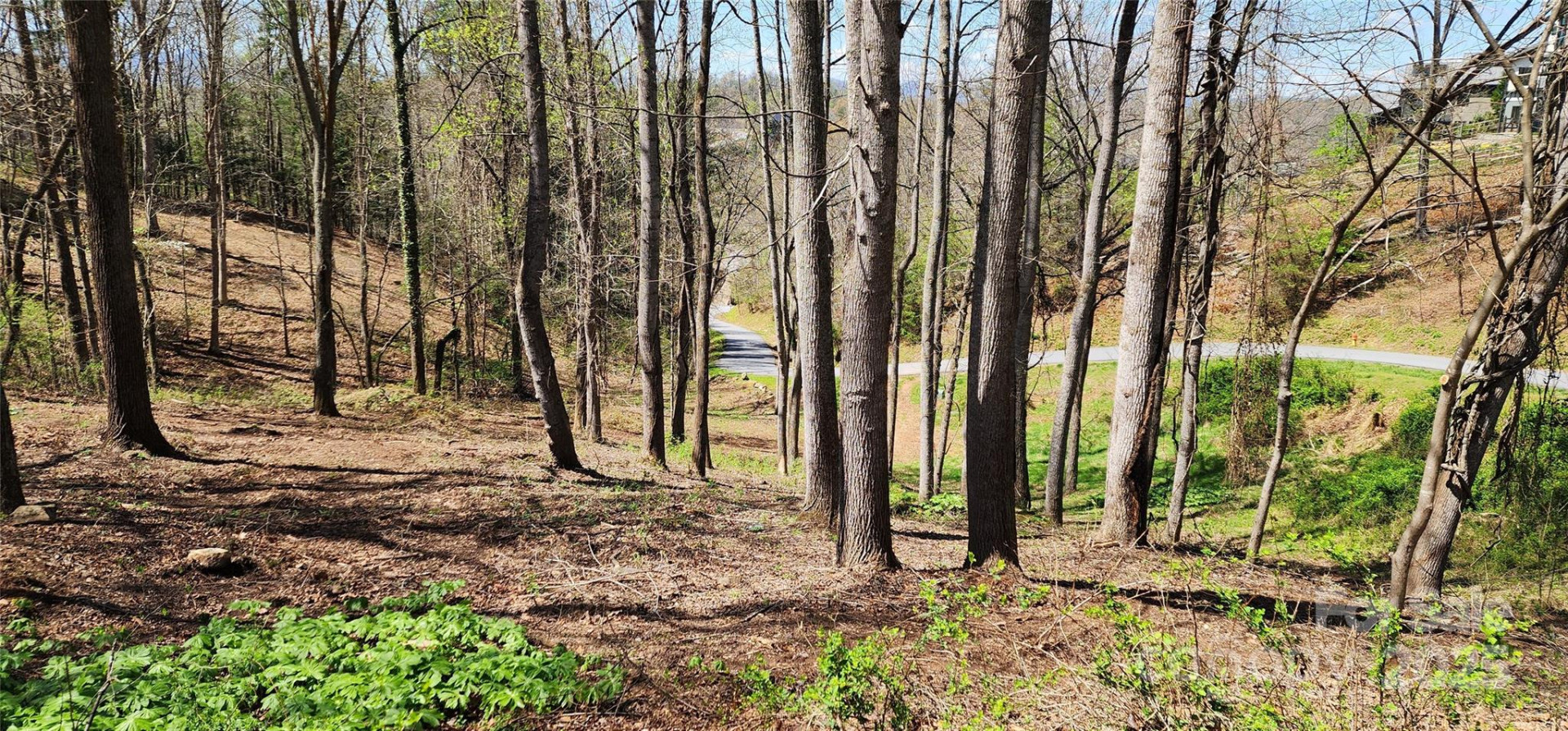 31 Sweet Fern Parkway #42 - Photo 5