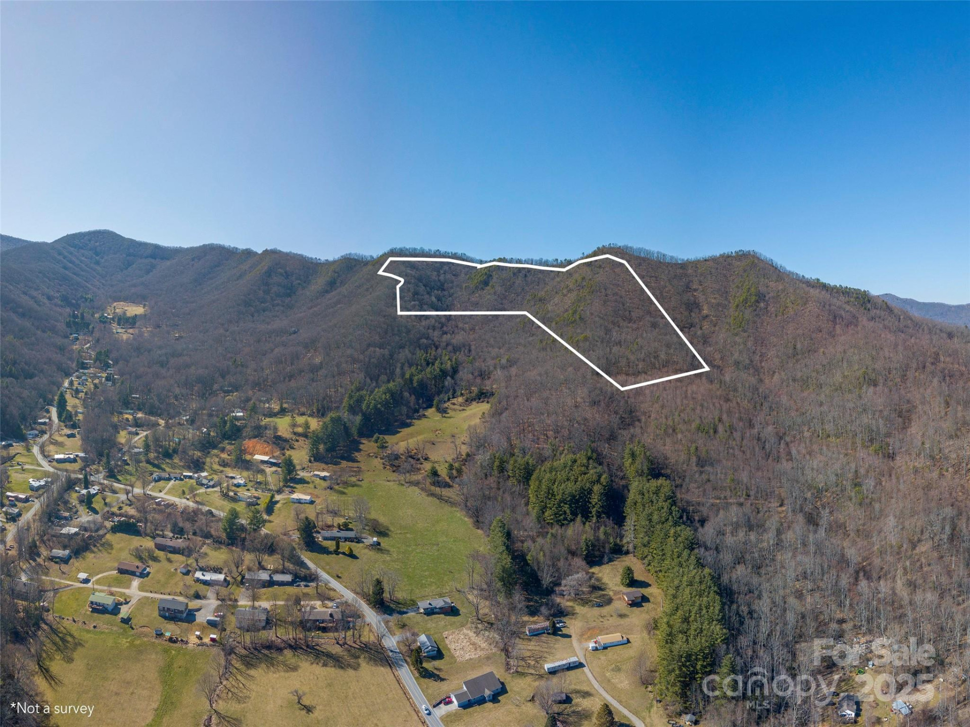 00 Big Cove Road - Photo 2