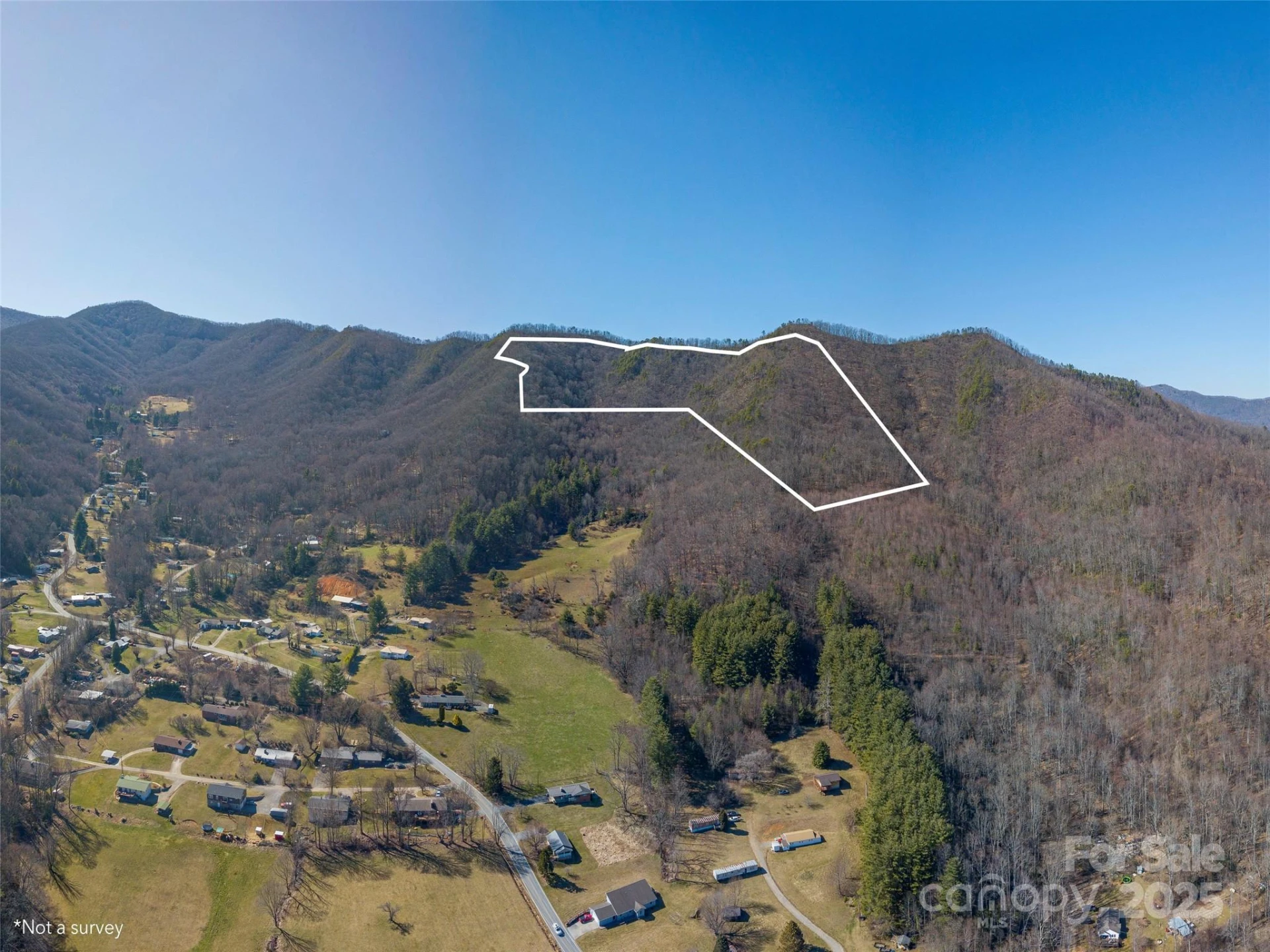 00 Big Cove Road - Photo 2