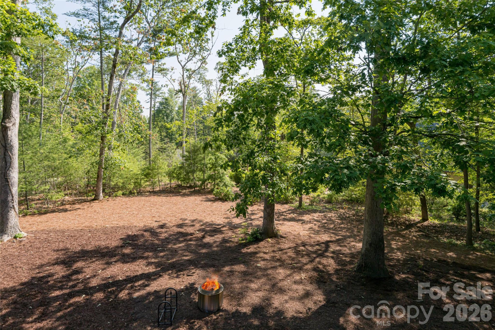 1 Cedar Chine Drive - Photo 19