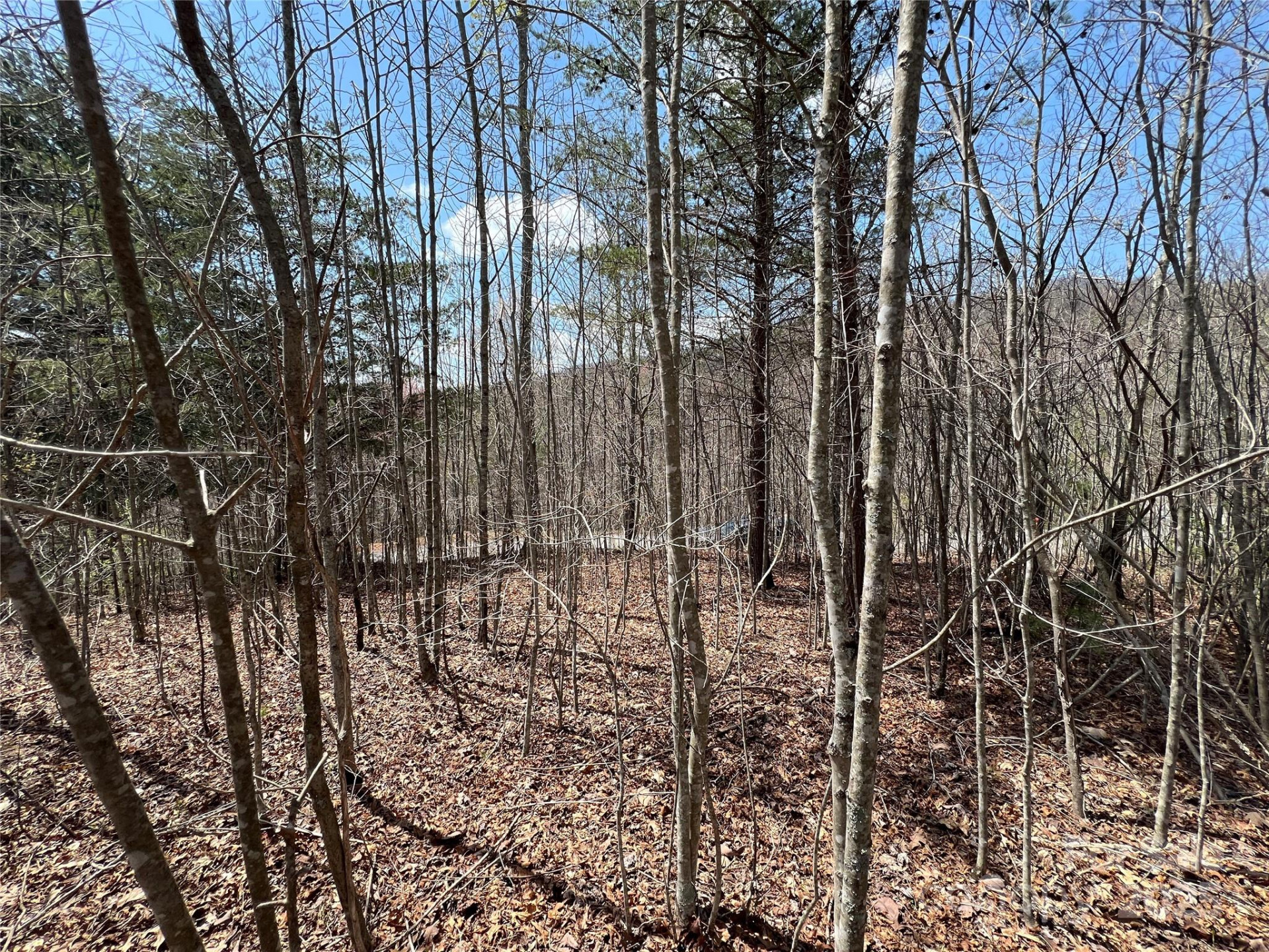 192 Pine Cone Trail #21