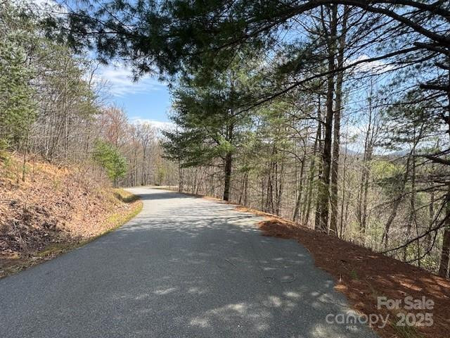 192 Pine Cone Trail #21 - Photo 2