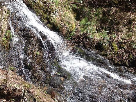 192 Pine Cone Trail #21 - Photo 13