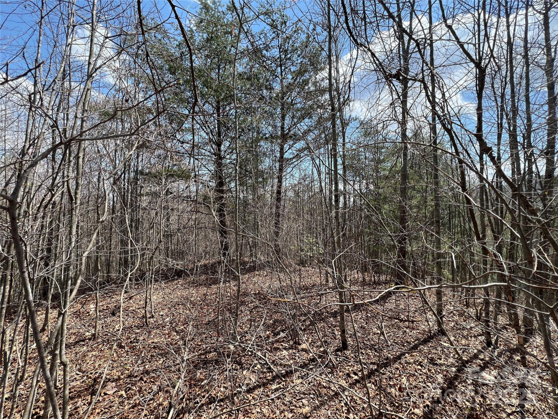 192 Pine Cone Trail #21 - Photo 20