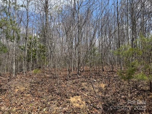 192 Pine Cone Trail #21 - Photo 3