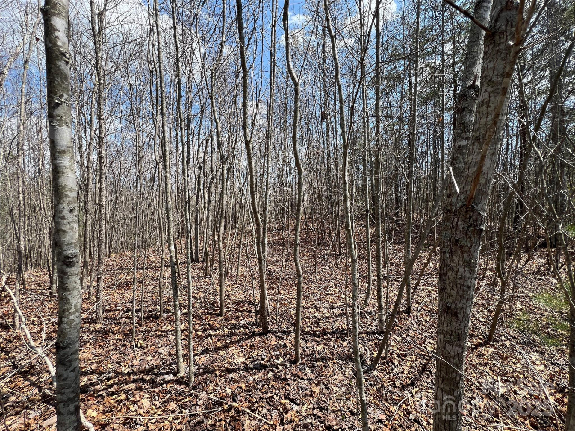 192 Pine Cone Trail #21 - Photo 4