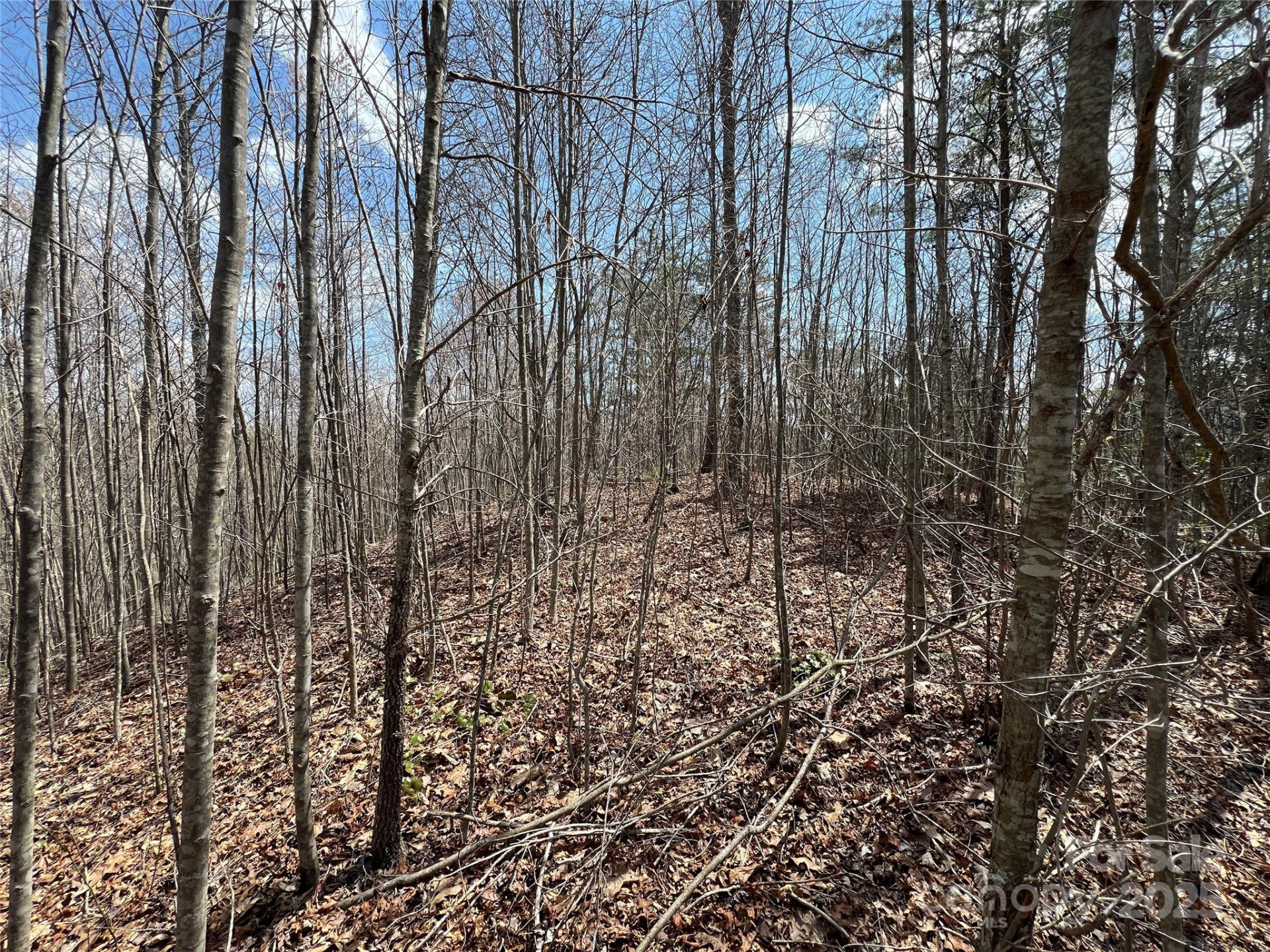 192 Pine Cone Trail #21 - Photo 5