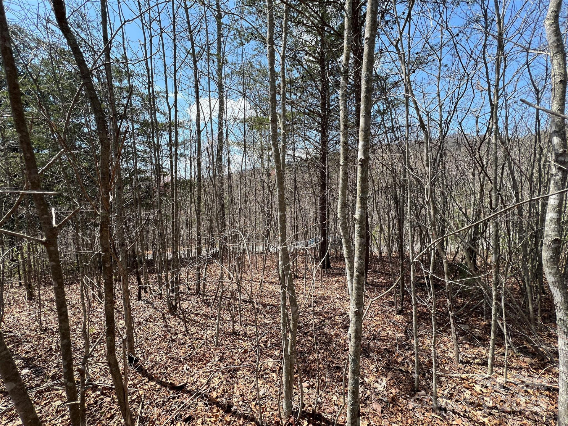 192 Pine Cone Trail #21 - Photo 6