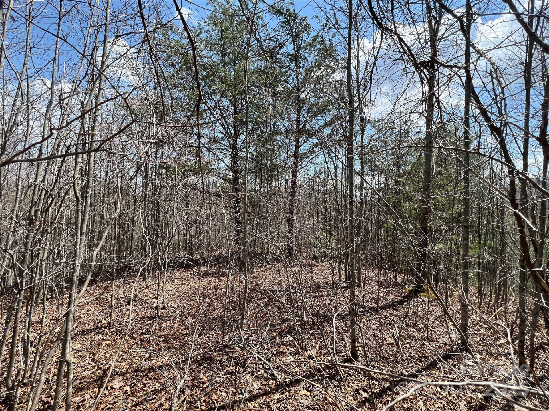 192 Pine Cone Trail #21 - Photo 7