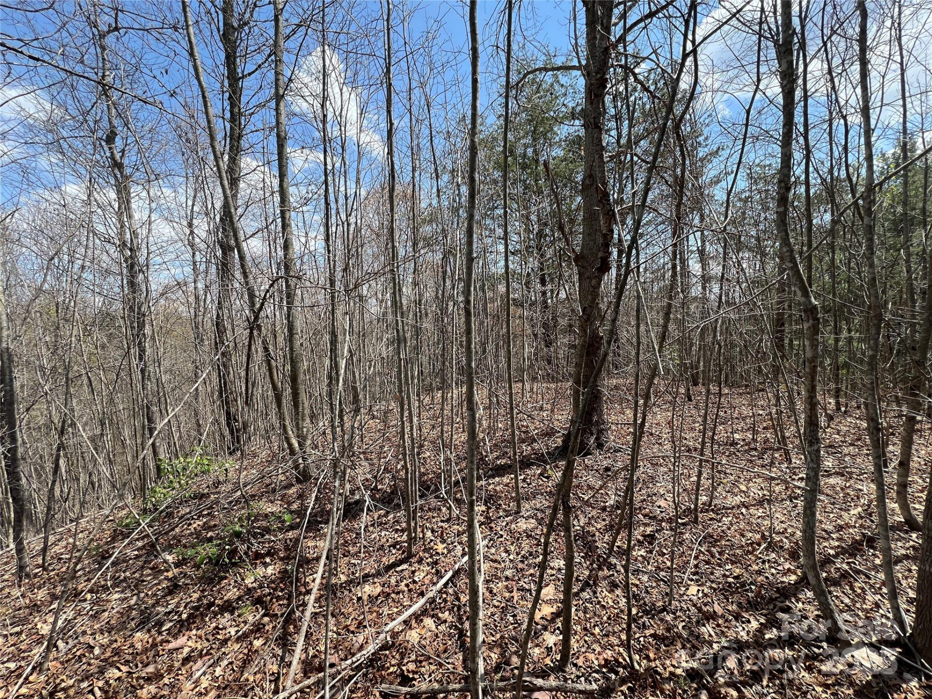 192 Pine Cone Trail #21 - Photo 8