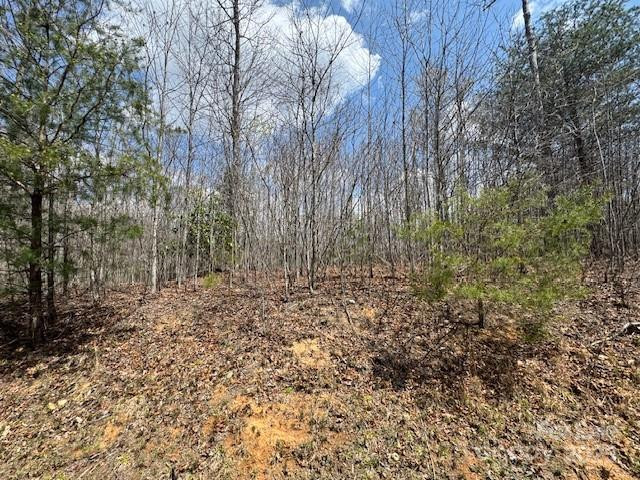 192 Pine Cone Trail #21 - Photo 10