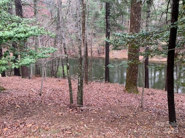 101 LAKEMONT Drive - Photo 8