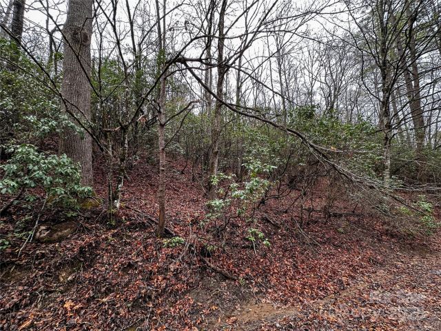 Lot 3 Tara Hills Road, Whittier, NC, 28789