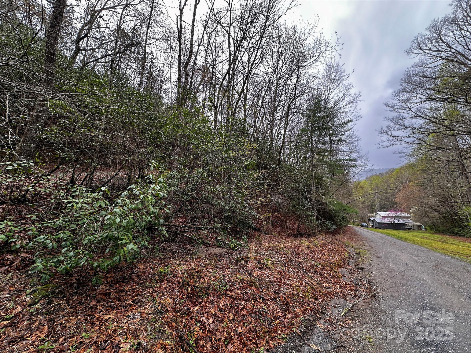 Lot 3 Tara Hills Road - Photo 6