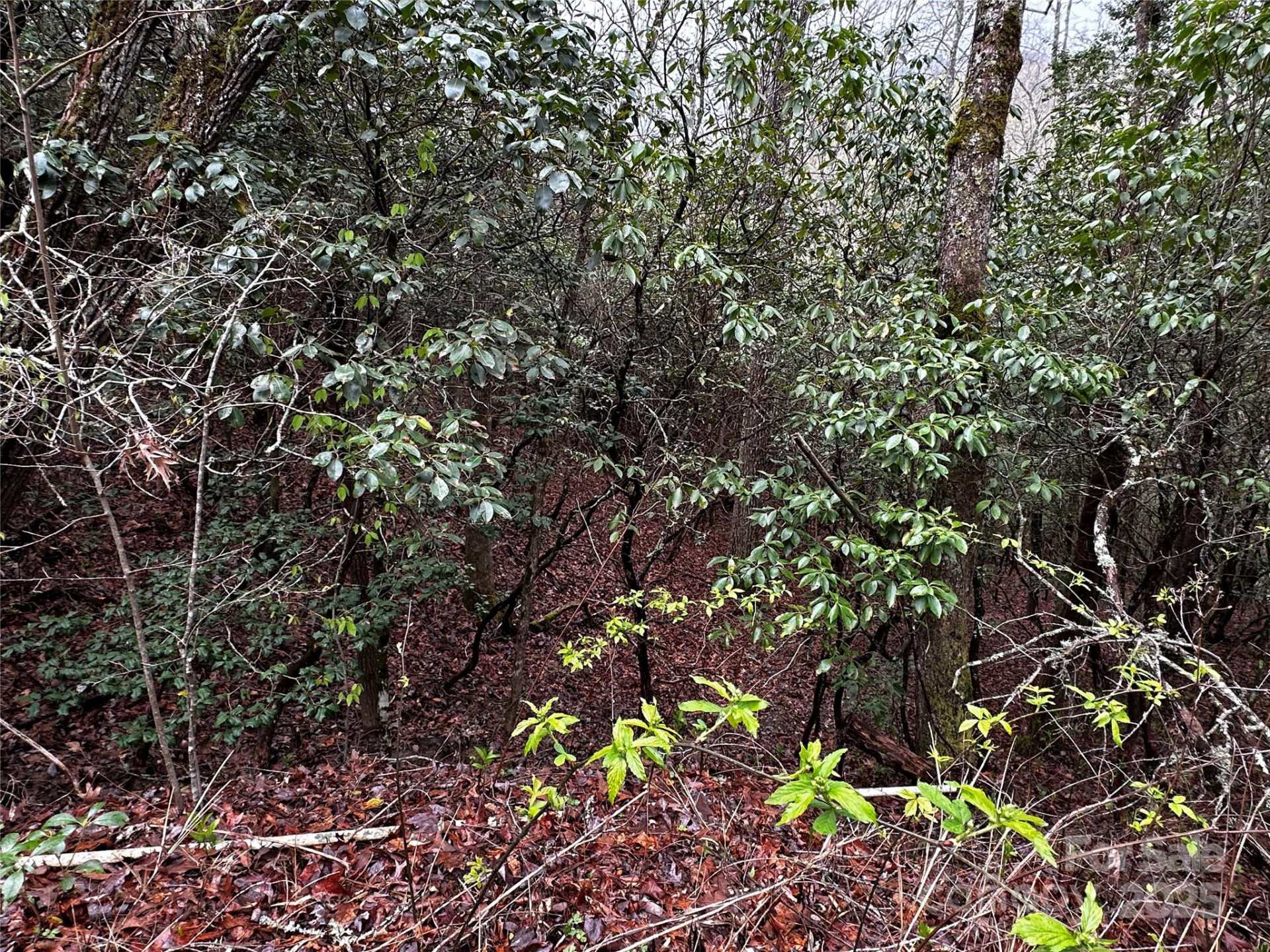 Lot 3 Tara Hills Road - Photo 9