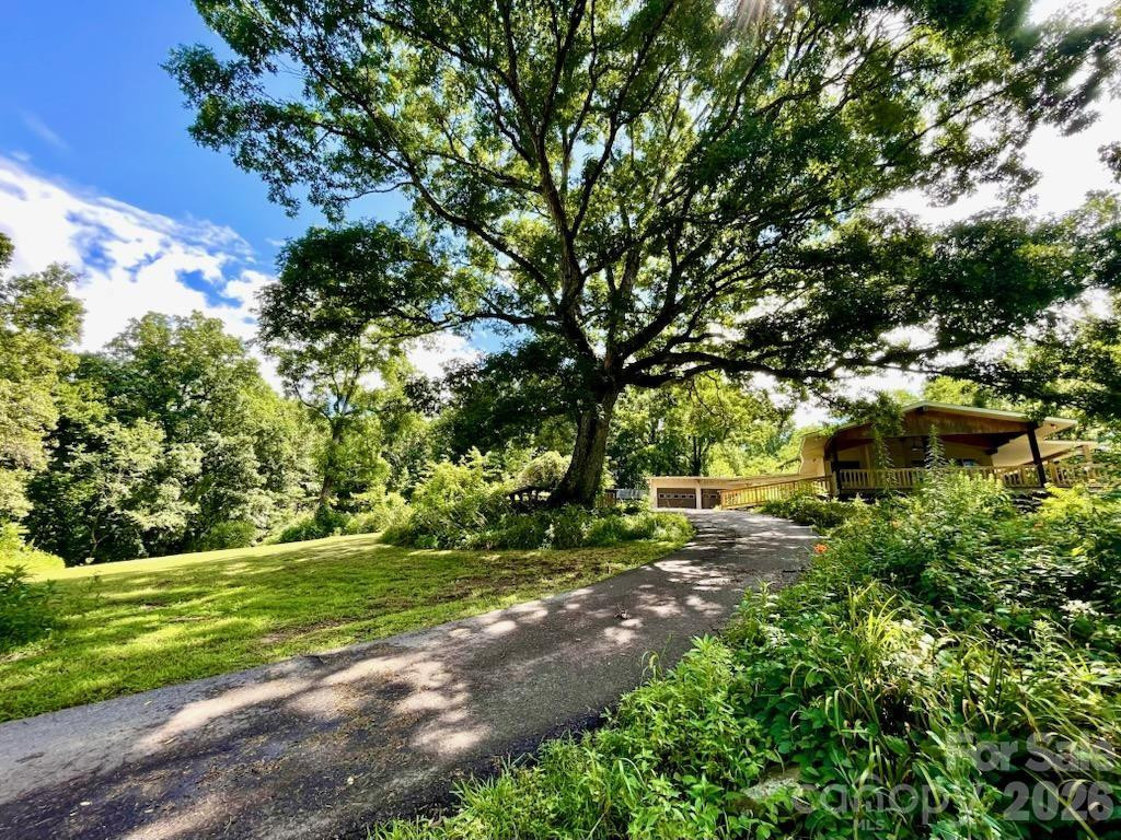 19 Old Patton Hill Road - Photo 22