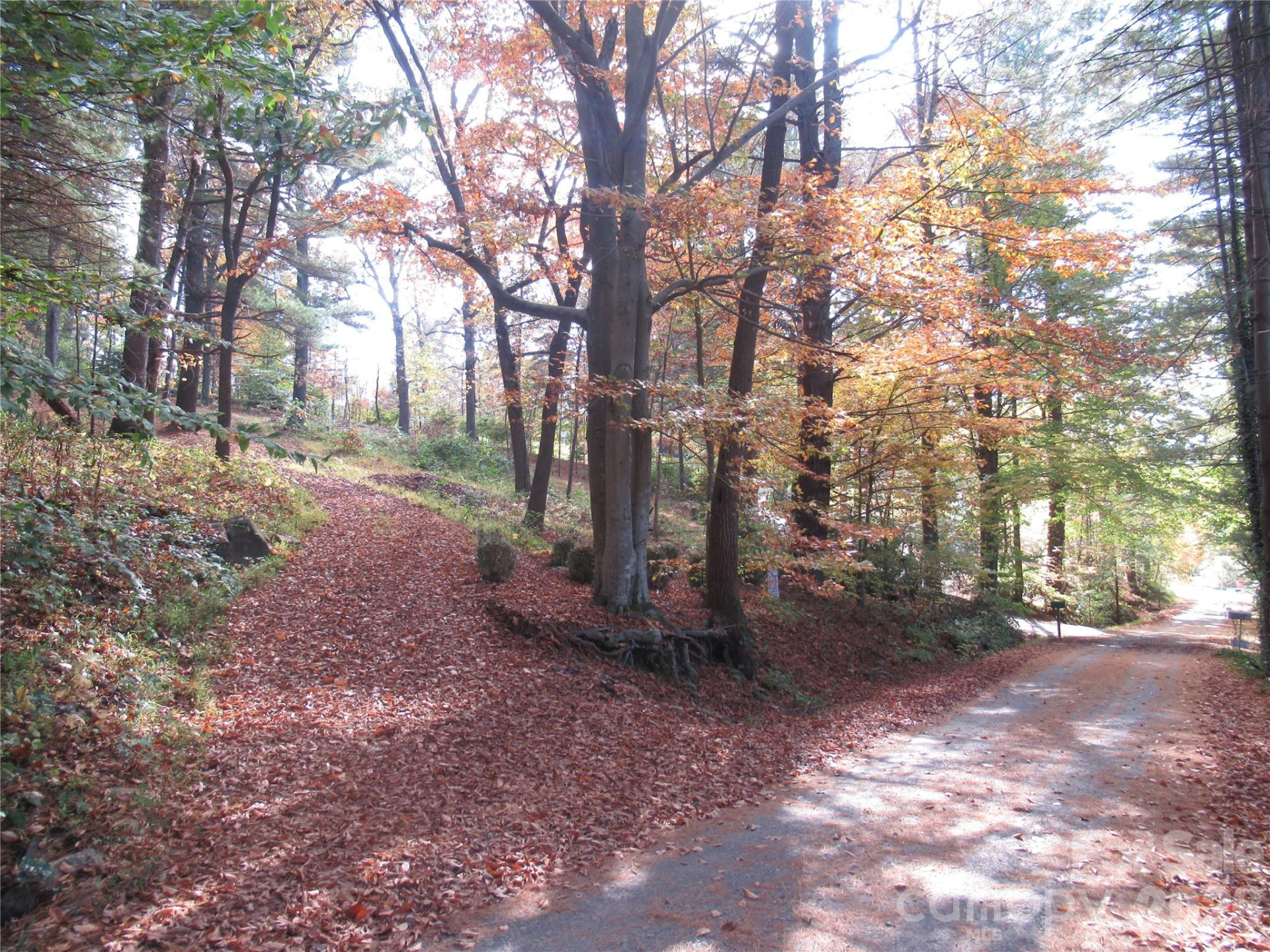 19 Old Patton Hill Road - Photo 30