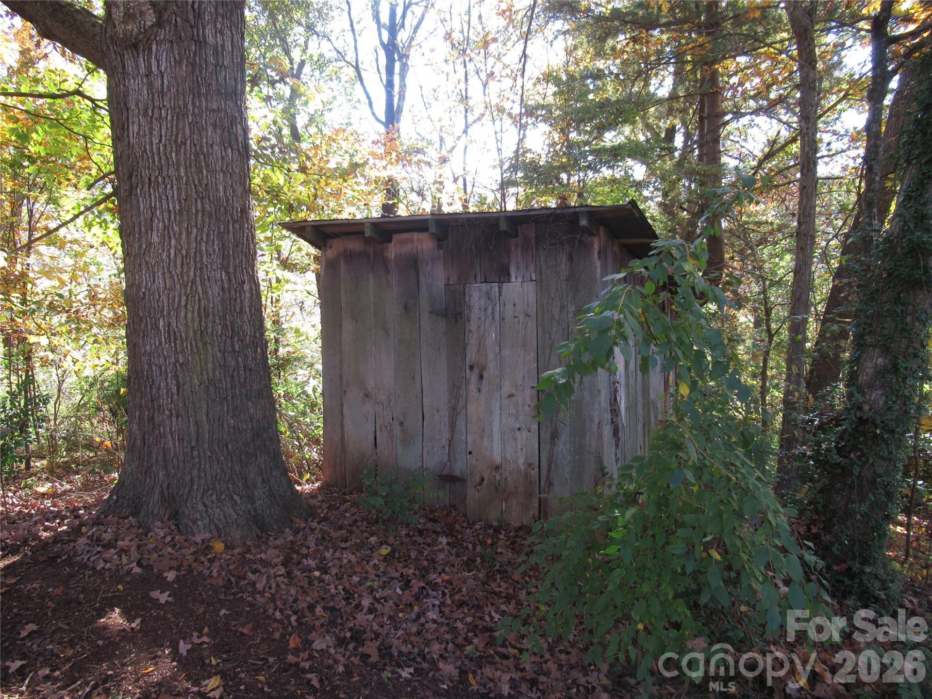 19 Old Patton Hill Road - Photo 32