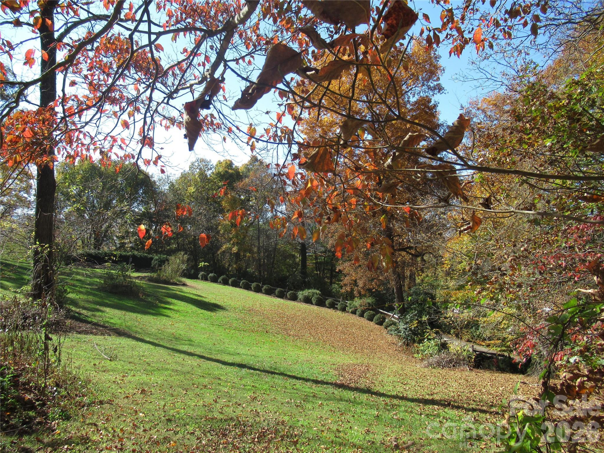 19 Old Patton Hill Road - Photo 36