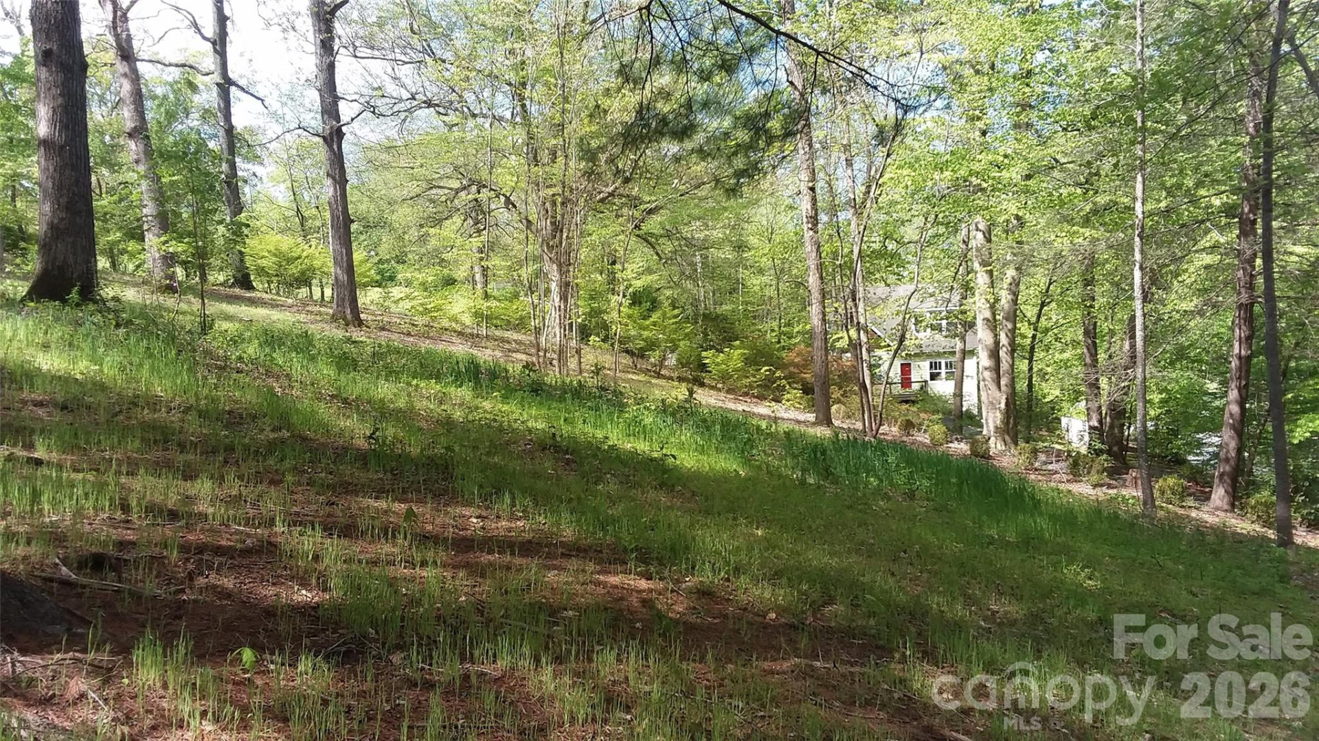 19 Old Patton Hill Road - Photo 40