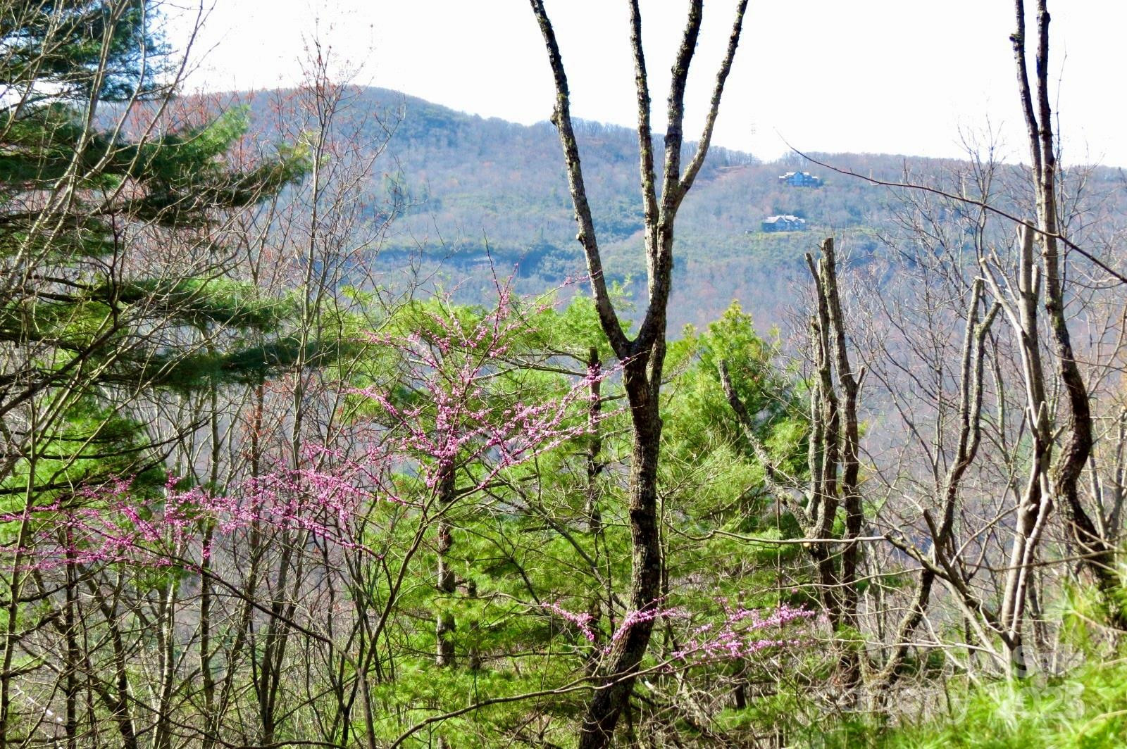 422 Lakeside Drive #L015, L016 - Photo 3