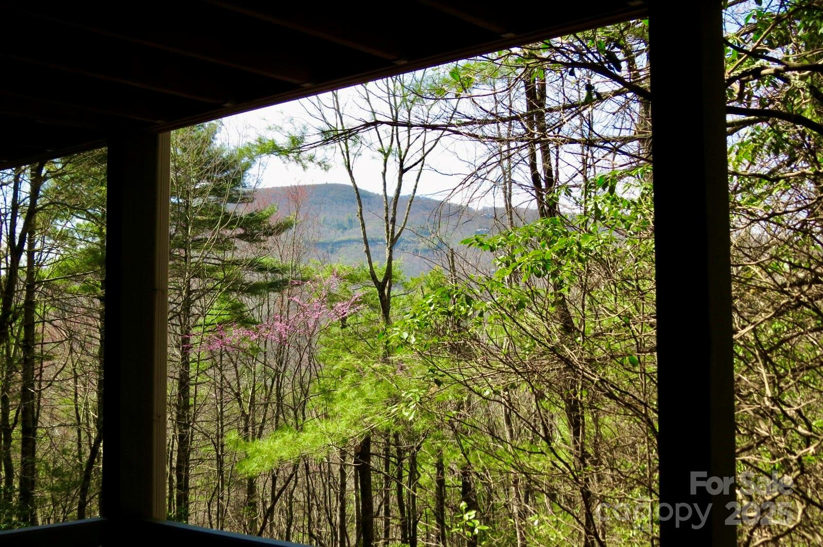 422 Lakeside Drive #L015, L016 - Photo 38