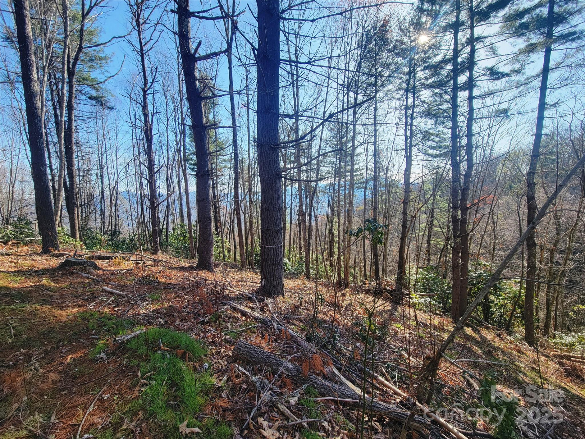 111 Digging Seng Trail #138