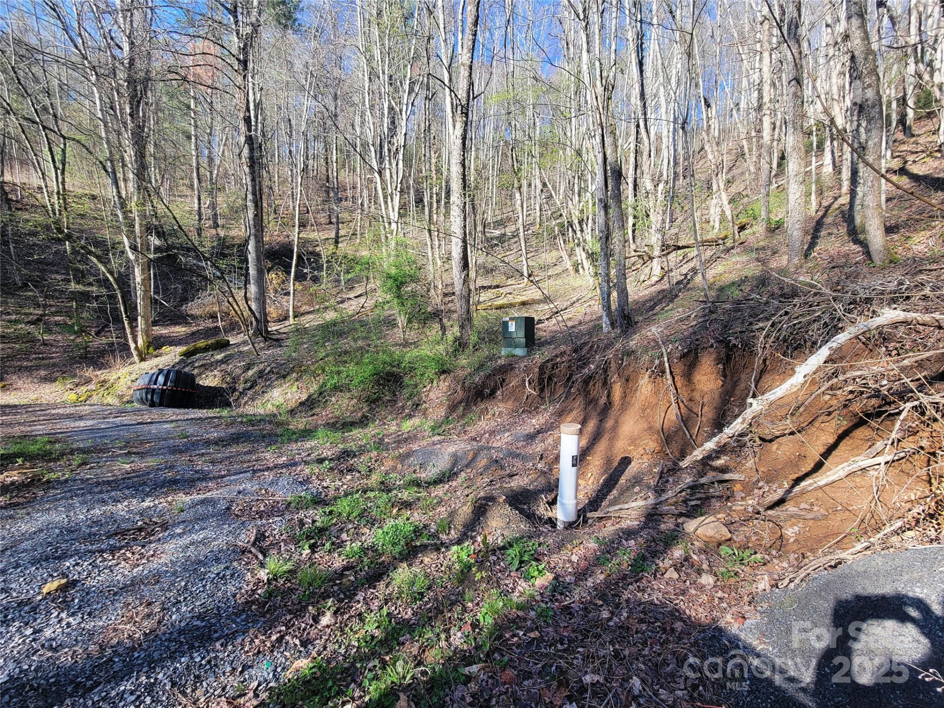 111 Digging Seng Trail #138 - Photo 14