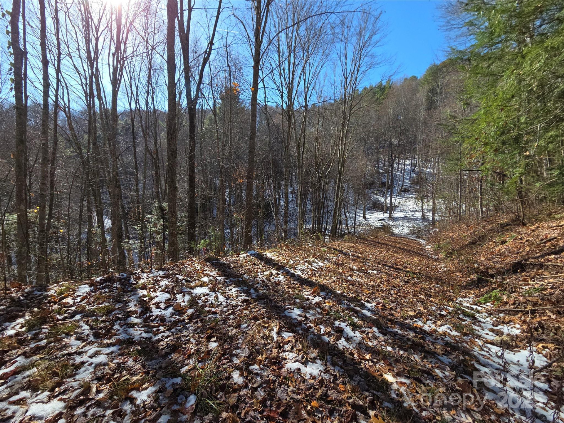 111 Digging Seng Trail #138 - Photo 16