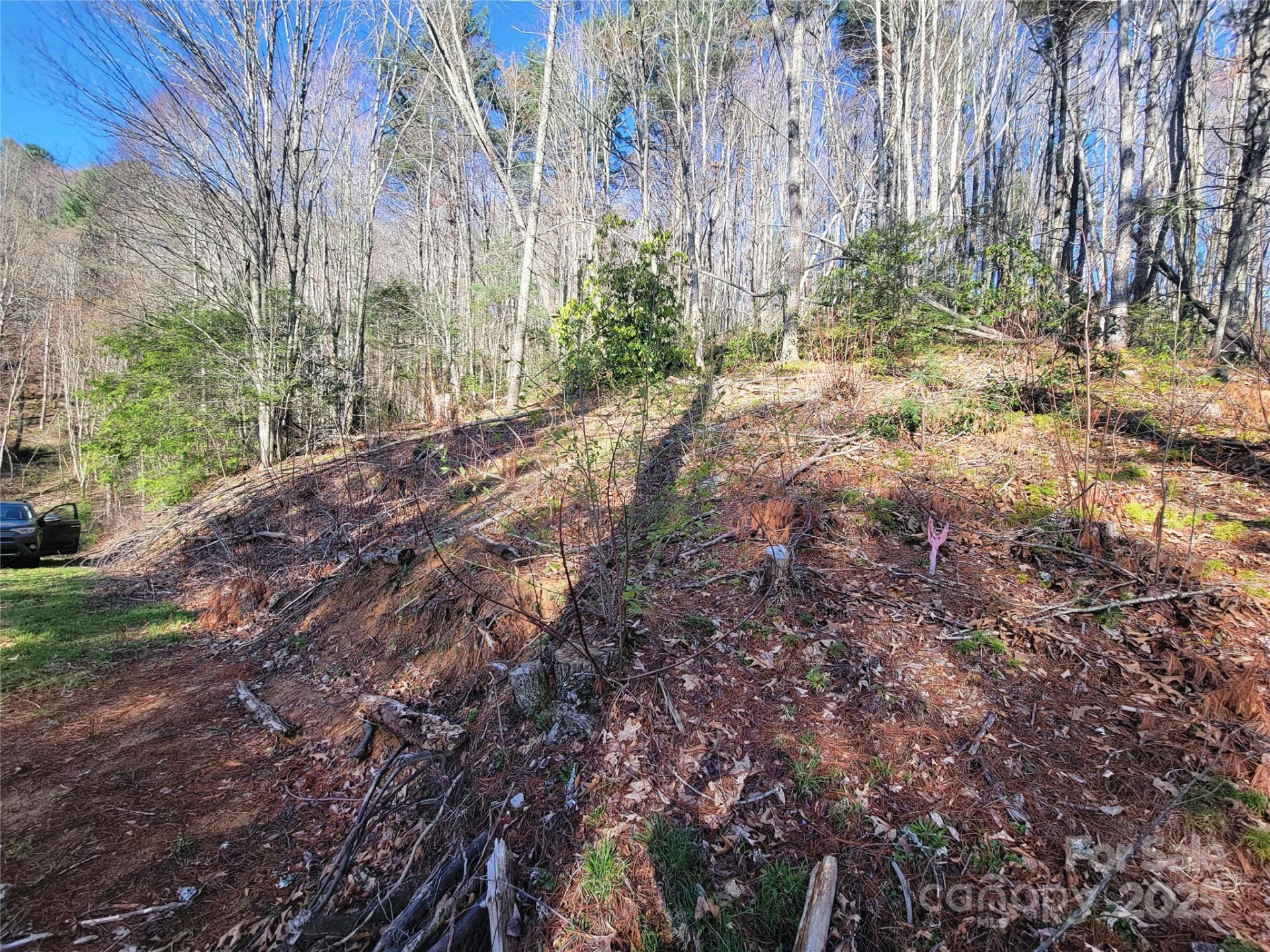 111 Digging Seng Trail #138 - Photo 17