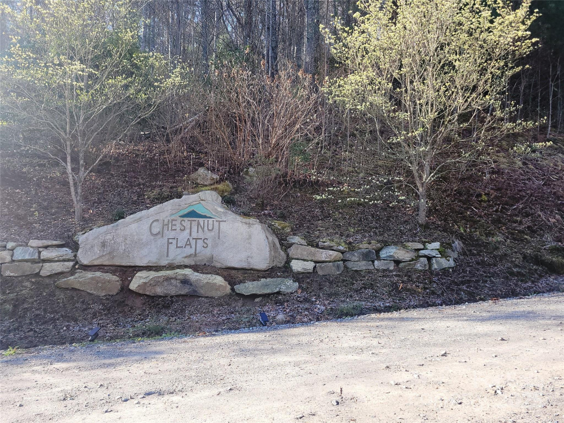 111 Digging Seng Trail #138 - Photo 20